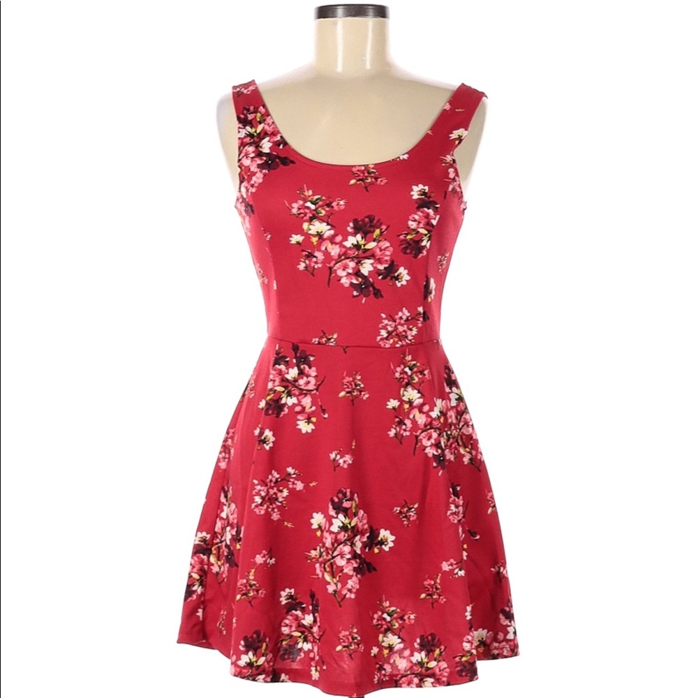 Red floral Skater Dress